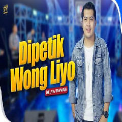 Download Lagu Delva Irawan - Dipetik Wong Liyo Feat Om Sera.mp3
