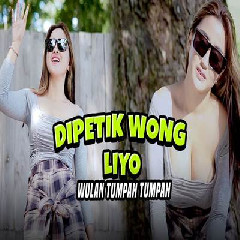 Wulan Tumpah Tumpah - Dipetik Wong Liyo Mp3 Download