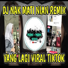 Download Lagu Mbon Mbon Remix - Dj Nak Mati Nian Tiktok Terbaru 2022.mp3